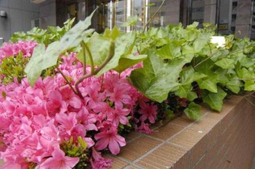 фото отеля Toyoko Inn Matsumoto-ekimae Honcho