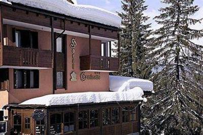 фото отеля Hotel Caminetto