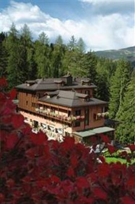 фото отеля Hotel Caminetto