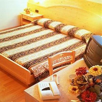 фото отеля Aparthotel Princess Canazei