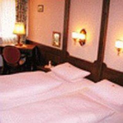 фото отеля Hotel-Landgasthof Falken