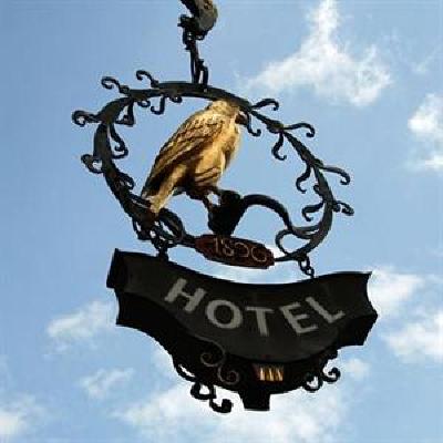 фото отеля Hotel-Landgasthof Falken