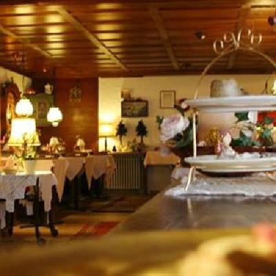 фото отеля Hotel-Landgasthof Falken