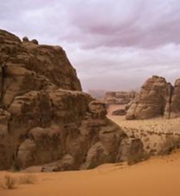 фото отеля Wild Wadi Rum