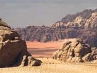 Wild Wadi Rum
