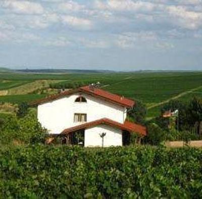 фото отеля Ganz Weingut & Biohotel