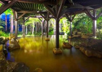 фото отеля Nekoma Hotel