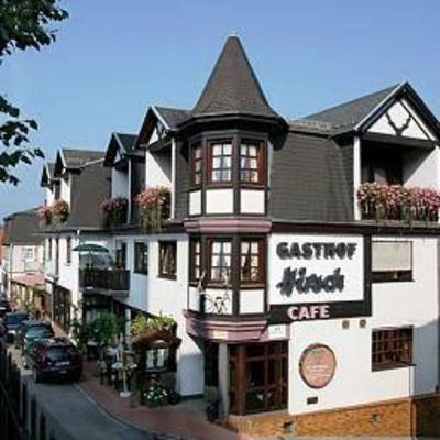 фото отеля Land-gut Hotel Hirsch Rothenberg