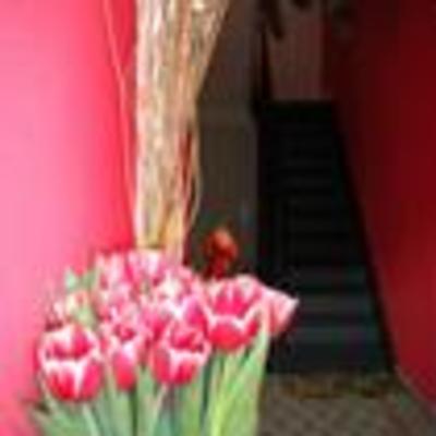 фото отеля Bed and Breakfast Rever d'Art