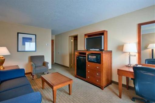 фото отеля Holiday Inn Express Hotel & Suites London Downtown