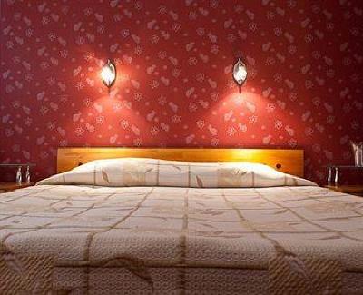 фото отеля Hotel Light