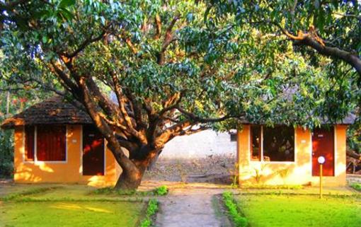 фото отеля Jungle Paradise Retreat