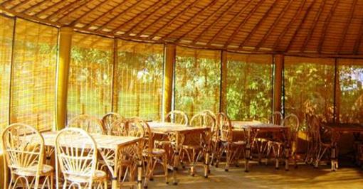 фото отеля Jungle Paradise Retreat