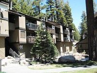 Bigwood by Mammoth Reservation Bureau
