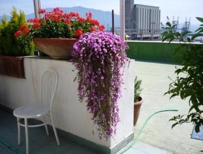 фото отеля Casa Ricciardi Holiday Apartment