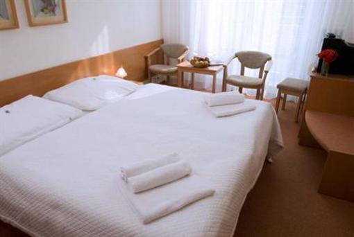 фото отеля Hotel Polana Zvolen