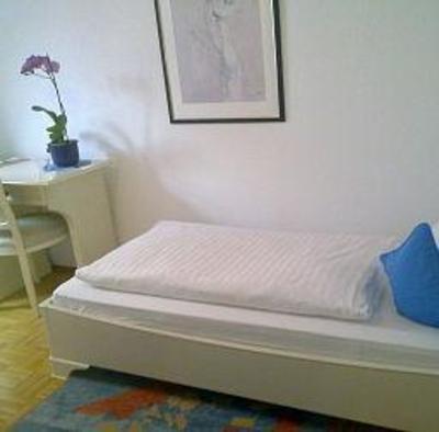 фото отеля Hotel Schwanen Mosbach