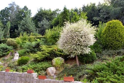 фото отеля Penzion Jasmin