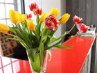 фото отеля Le Clocher Hotel Ars-en-Re
