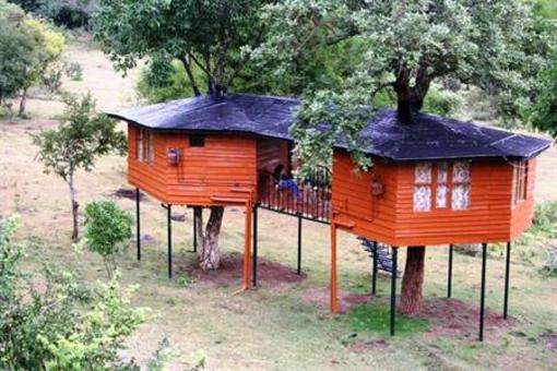 фото отеля Forest Hills Farm & Guest House Nilgiri