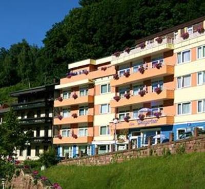 фото отеля Kur- und Ferienhotel Weingartner