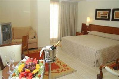 фото отеля Hotel Masa Internacional Torrevieja