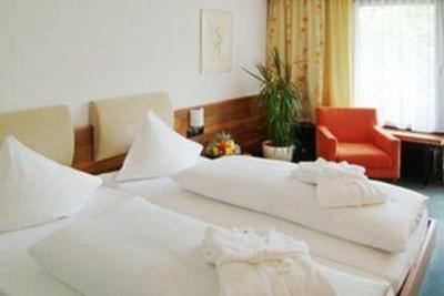 фото отеля Hotel Schwarzler