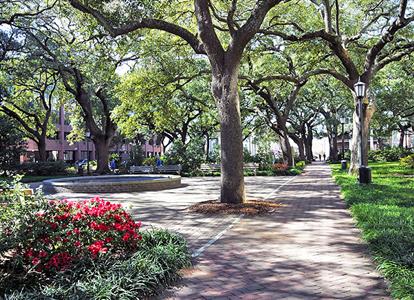 фото отеля Residence Inn Savannah Downtown/Historic District