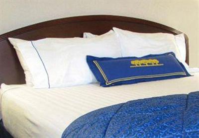 фото отеля Courtyard by Marriott DFW Airport North / Irving
