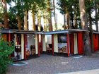 фото отеля Hotel Interlaken Pucon