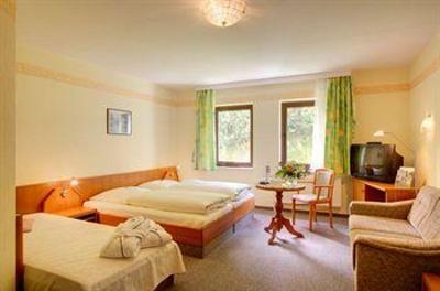 фото отеля Berghotel Talblick Rechenberg-Bienenmuhle