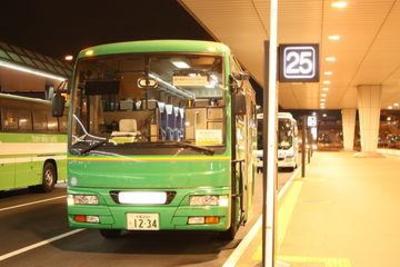 фото отеля Narita Tobu Hotel Airport