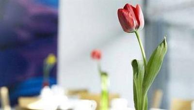 фото отеля Augarten Hotel Graz