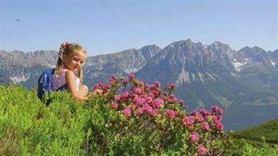 фото отеля Hotel Kaiser in Tirol
