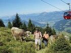 фото отеля Hotel Kaiser in Tirol