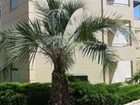 фото отеля Creta Palm