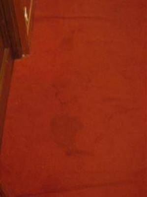 фото отеля Hotel les Flandres