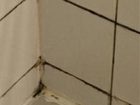 фото отеля Hotel les Flandres