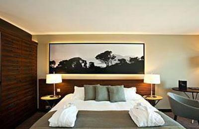 фото отеля Ile Rousse Hotel Thalazur Bandol