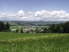 фото отеля Berghof Dachsteinblick