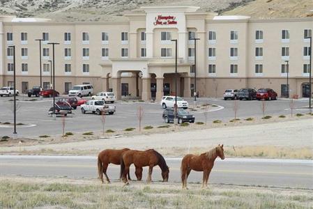 фото отеля Hampton Inn and Suites Green River