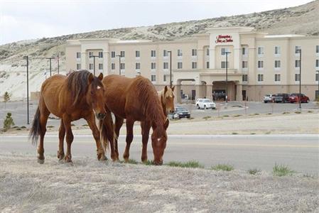 фото отеля Hampton Inn and Suites Green River