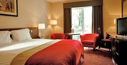 фото отеля Dunboyne Castle Hotel And Spa