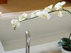 фото отеля Casa 425