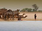 фото отеля Kempinski Hotel Ndjamena