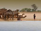 фото отеля Kempinski Hotel Ndjamena