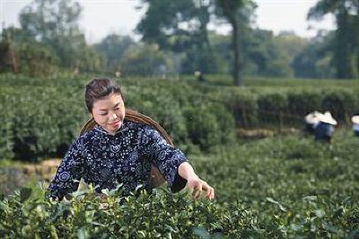фото отеля Landison Longjing Resort