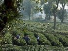 фото отеля Landison Longjing Resort