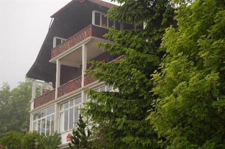 фото отеля Les Airellesn Hotel Leysin