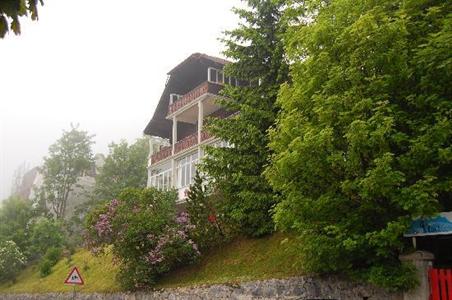 фото отеля Les Airellesn Hotel Leysin